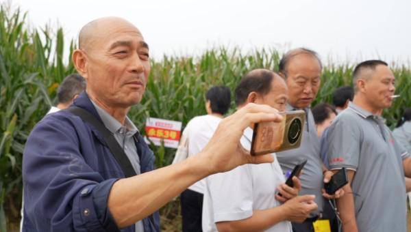 永乐种业观摩会开幕 黄淮海业界精英探访永乐888、YL819