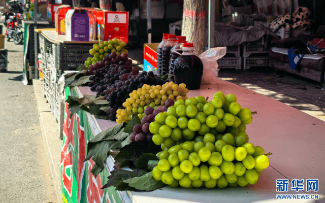 内蒙古乌海：从一串葡萄到一条产业链