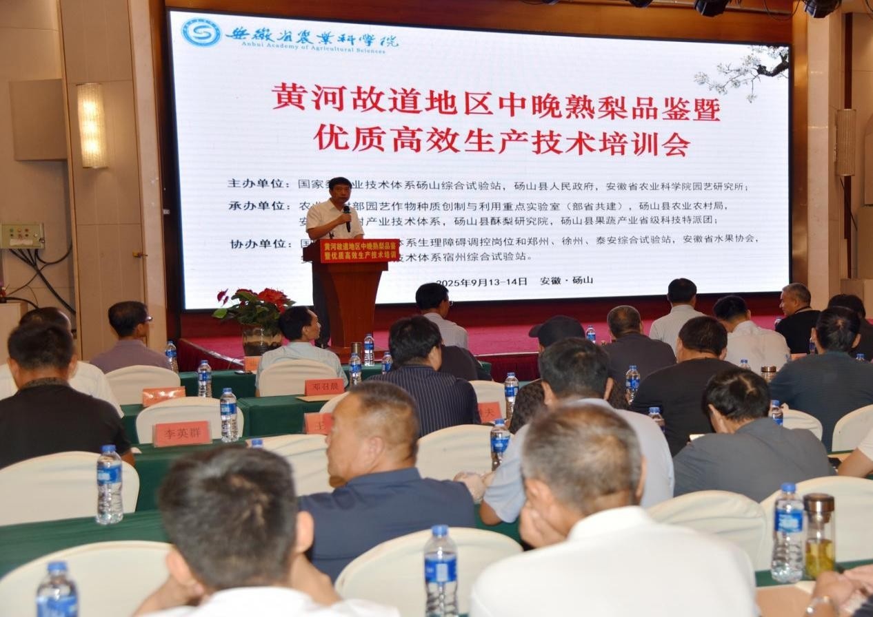 安徽砀山：“梨都论剑”谋发展 建言献策开“良方”