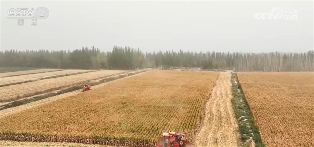 “粮袋子”“果盘子”持续“上新” 机械化+良种良技助力绘就金