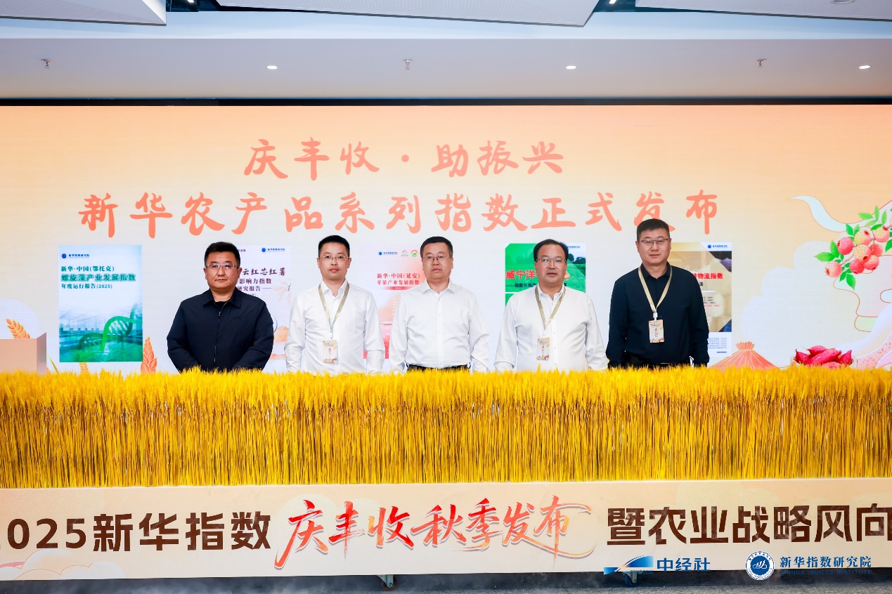 威宁洋芋位居价值高地 多元发展助其抢占先机