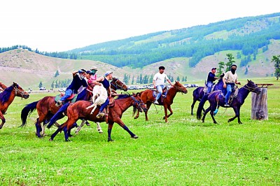 同心共筑梦 天山绽新颜